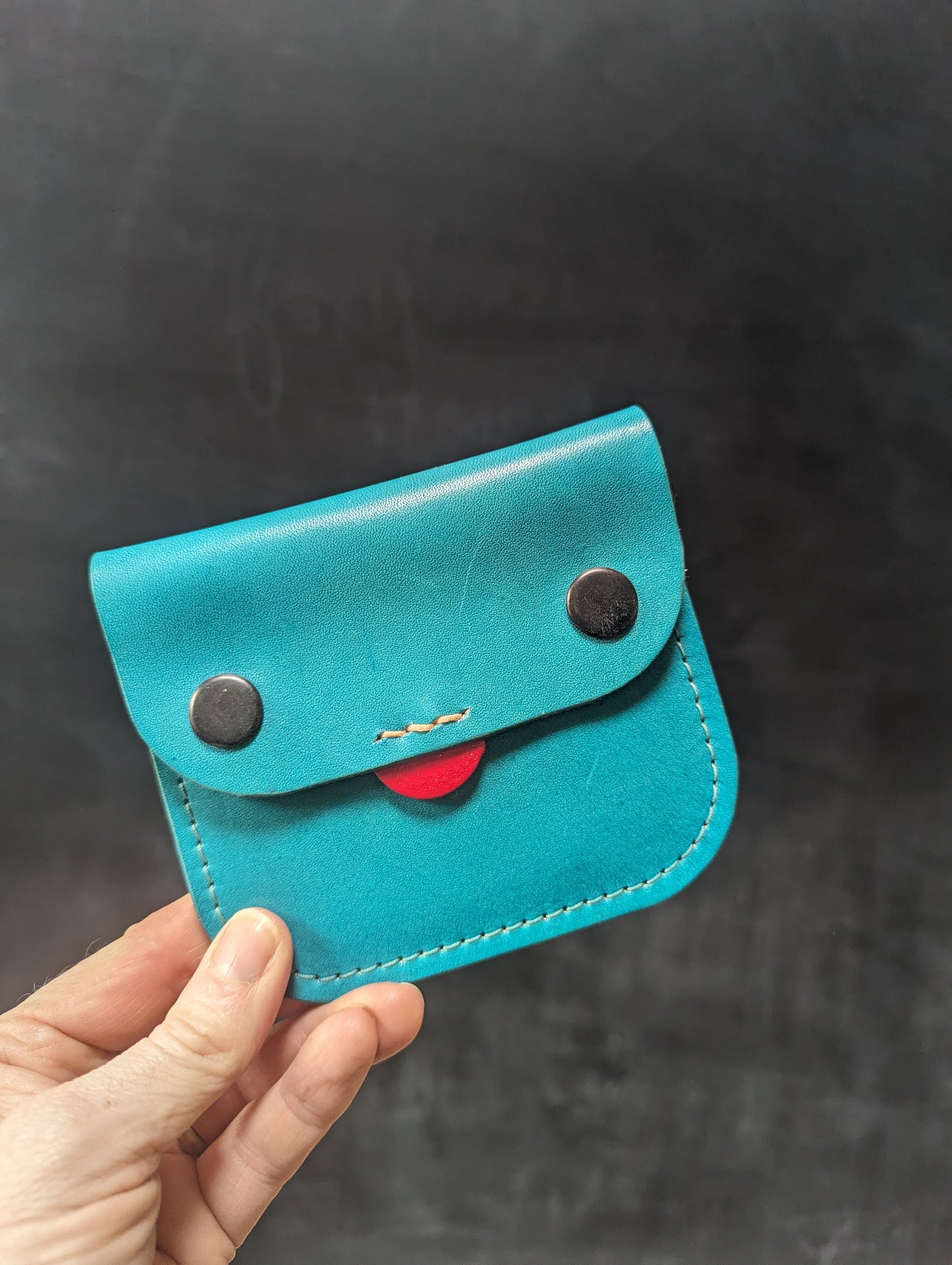 ** SALE ** Little Monsters Pocket Money Purse