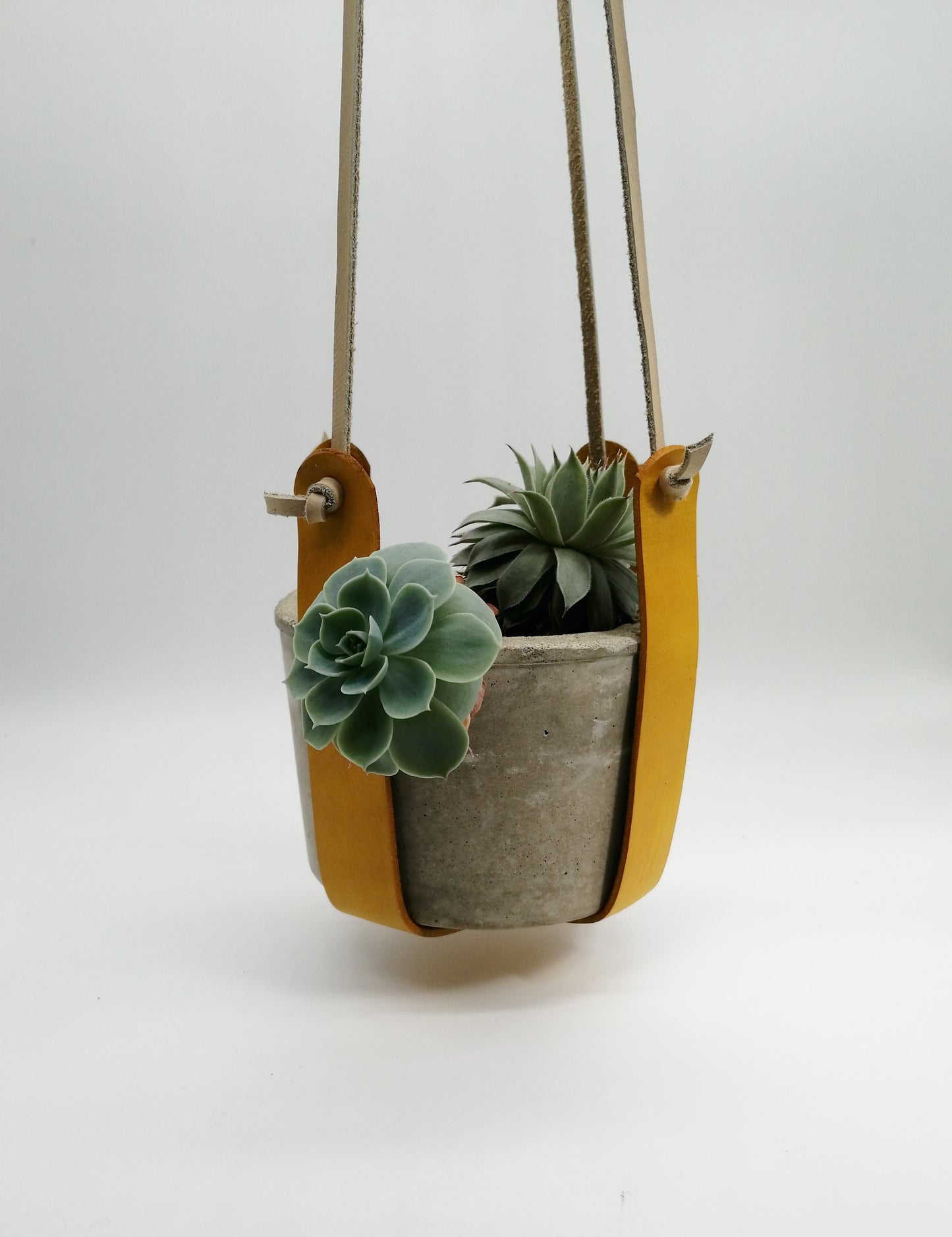 Criss-Cross Plant Hanger