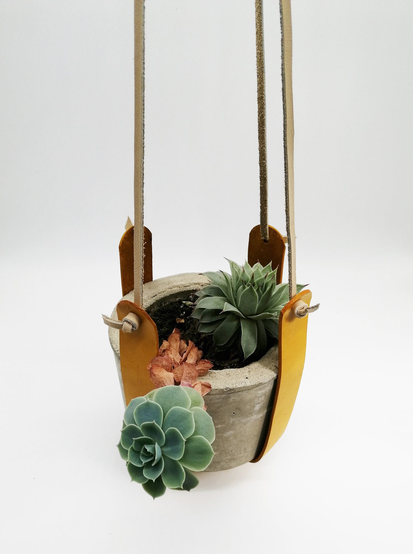 Criss-Cross Plant Hanger