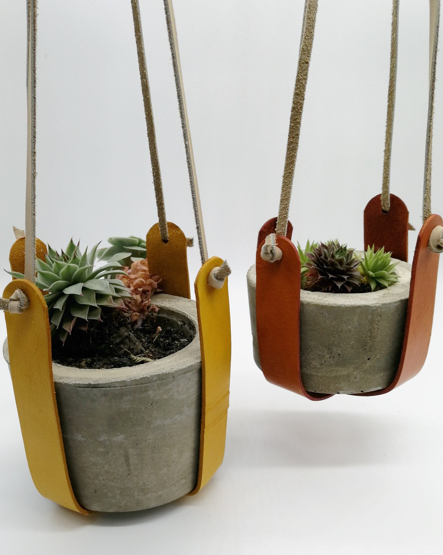 Criss-Cross Plant Hanger