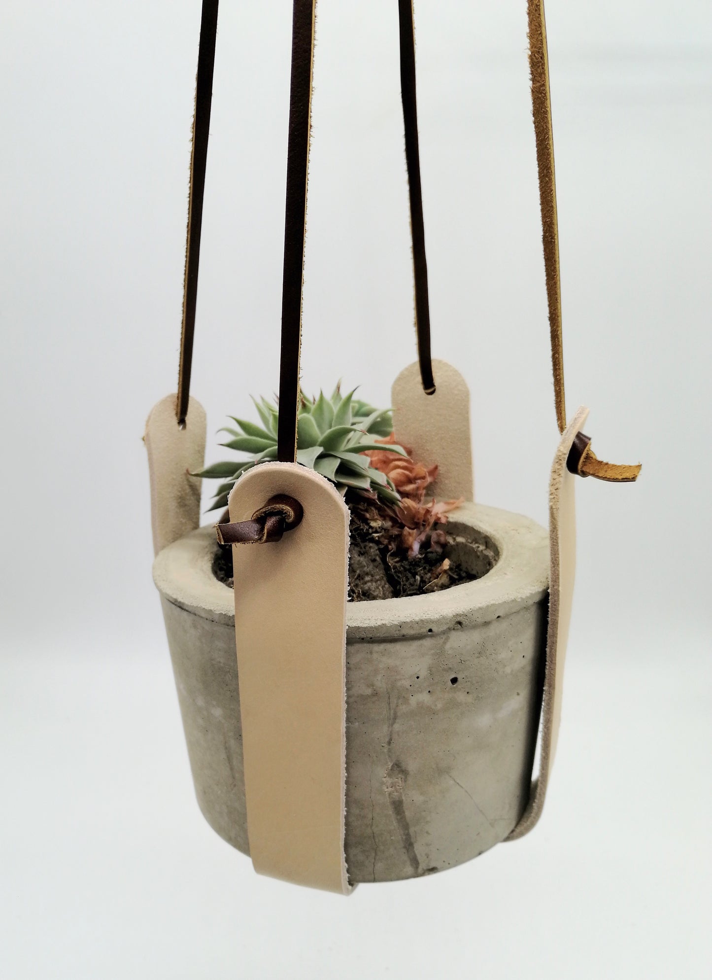 Criss-Cross Plant Hanger