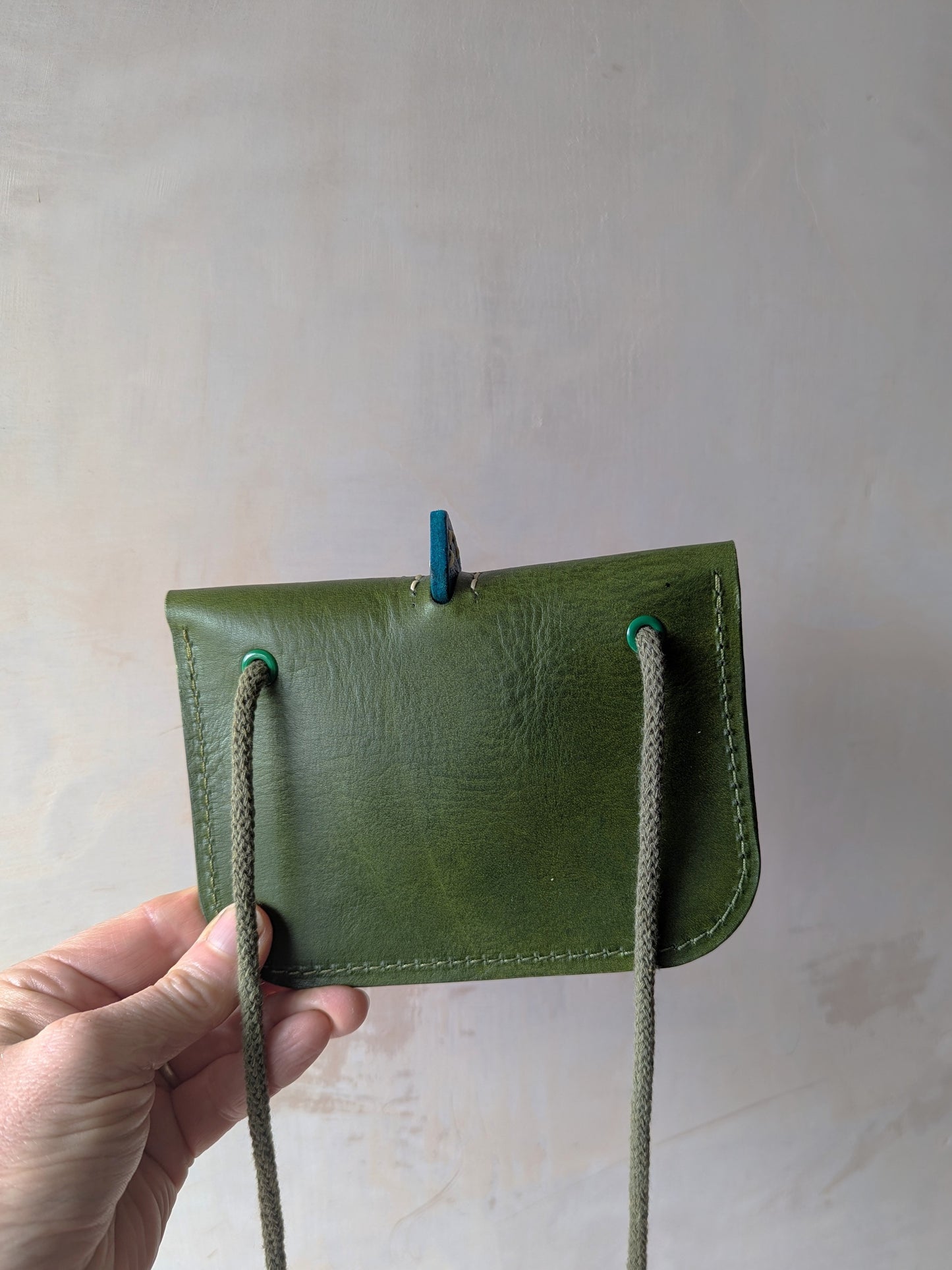 The Bagasaurus Cross- Body purse